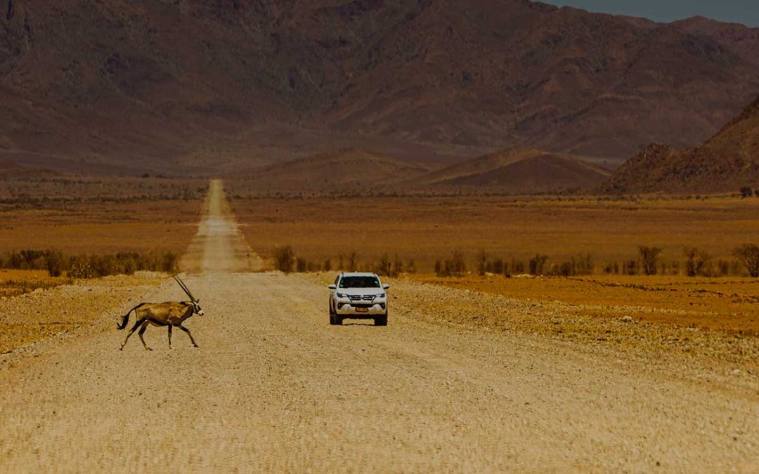 Viajes Road Trip Namibia