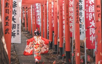 7 Razones por las que viajar a Japón